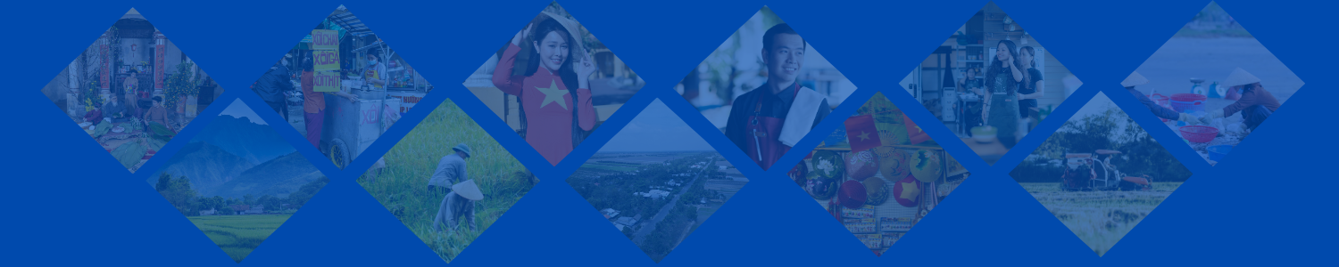 Banner ICO Vietnamese